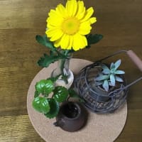 黄色い花を食べる？