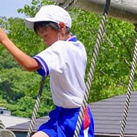 元気いっぱいアスレチック
