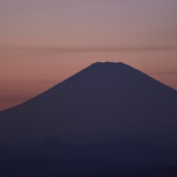 海、凪、弁財天、夕焼け、太陽、富士山
