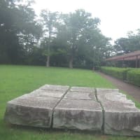 曇天蒸し蒸しの陽気で汗をかく