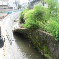 昨日夜、短時間に102㎜の集中豪雨が（埼玉・所沢）