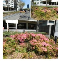 施設案内東京-525　東京・霞ヶ関の建物　