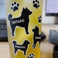 サトラオリジナルポロシャツ！