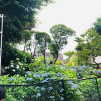 積み樽の賞味期限は？