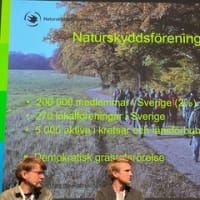 強い影響をもつ「スウェーデン自然保護協会」。チカラの源は“人の結びつき”