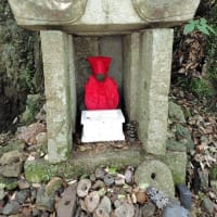 この猛暑の中を…吟行会？ナント物好きな…