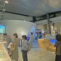 安藤忠雄展