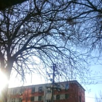 太陽がありがたい