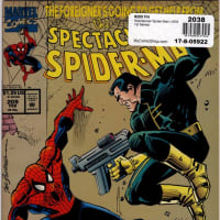この表紙見たらPUNISHERだと思うじゃない、Spectacular SPIDER-MAN 209、210号