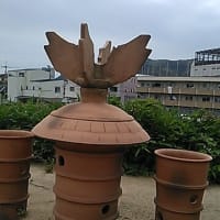 ２０２５年６月　京都童心の会　通信句会作品