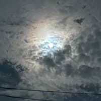 昨夜の満月は雲に覆われながらもなんとか姿を現してくれました