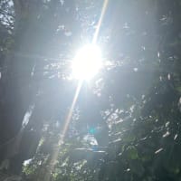⭐️ 2025年度版　日本が誇るビジネス大賞　に掲載　⭐️