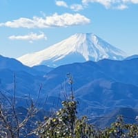 久しぶりの登山
