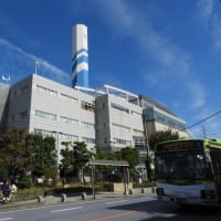 秋雲がくっきり。気分爽快、最高！