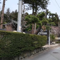 2024/4/6-7　甚六桜と田切駅掃除旅行　後編