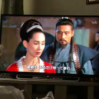 韓国映画に見る権力