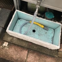 見えない物を撮っている？