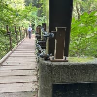 2025/7/9(水)　高尾山・城山　個人山行