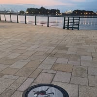 プレモルGLAY缶2025届いたー&函館旅その3ラスト
