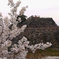 奈良の都は 🌸の 宴