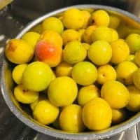 減塩梅干し梅酢漬け。その１。