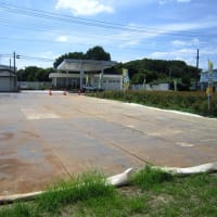 べに花の町、埼玉県桶川市　その２