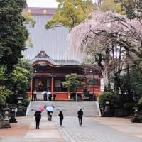令和七年三月二十九日 支部総登山