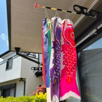 5月になりました。