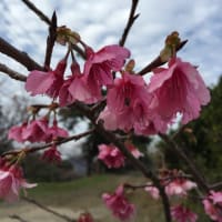 14年振り