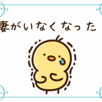 妻が行方不明…