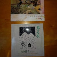 矢野絢子ライブ（沖縄）