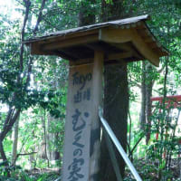 竹薮のなかのレストラン