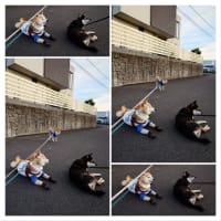 先が思いやられる