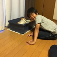 さよならR