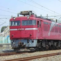 ファッション通販 安い ab813ececcf56db746a1dfb87296a1 その他
