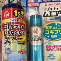 どっちが効果ある？悩む〜！・壁飾り出来ました