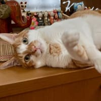 ６月２２日　こんなお出迎え
