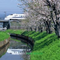 いつかの東海道新幹線と富士山と桜（２０００年ころ？）