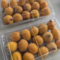 野菜が届きました。