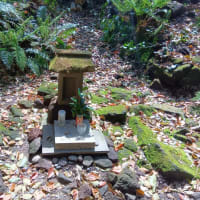 山の神社【真鶴】