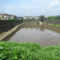 昨日夜、短時間に102㎜の集中豪雨が（埼玉・所沢）