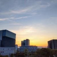 今日の夕景