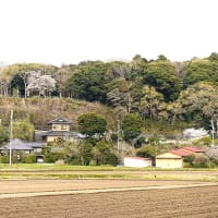 島崎城跡がYouTubeにて公開されていますので紹介します。