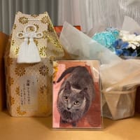 おかえりフニャラ