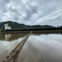 雨の中のななつ星　DD200-702