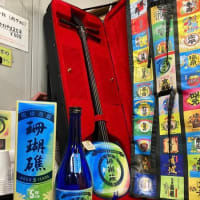 うりずんの季節♪珊瑚礁５年古酒と珊瑚礁三線