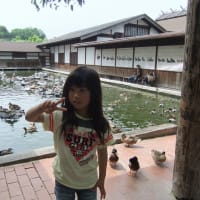 ことまち横丁＆花鳥園