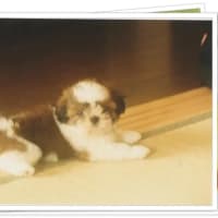 ナナ27歳　奈緒6歳のお誕生日