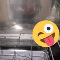 お久しぶりですm(*_ _)m