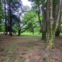 朝公園